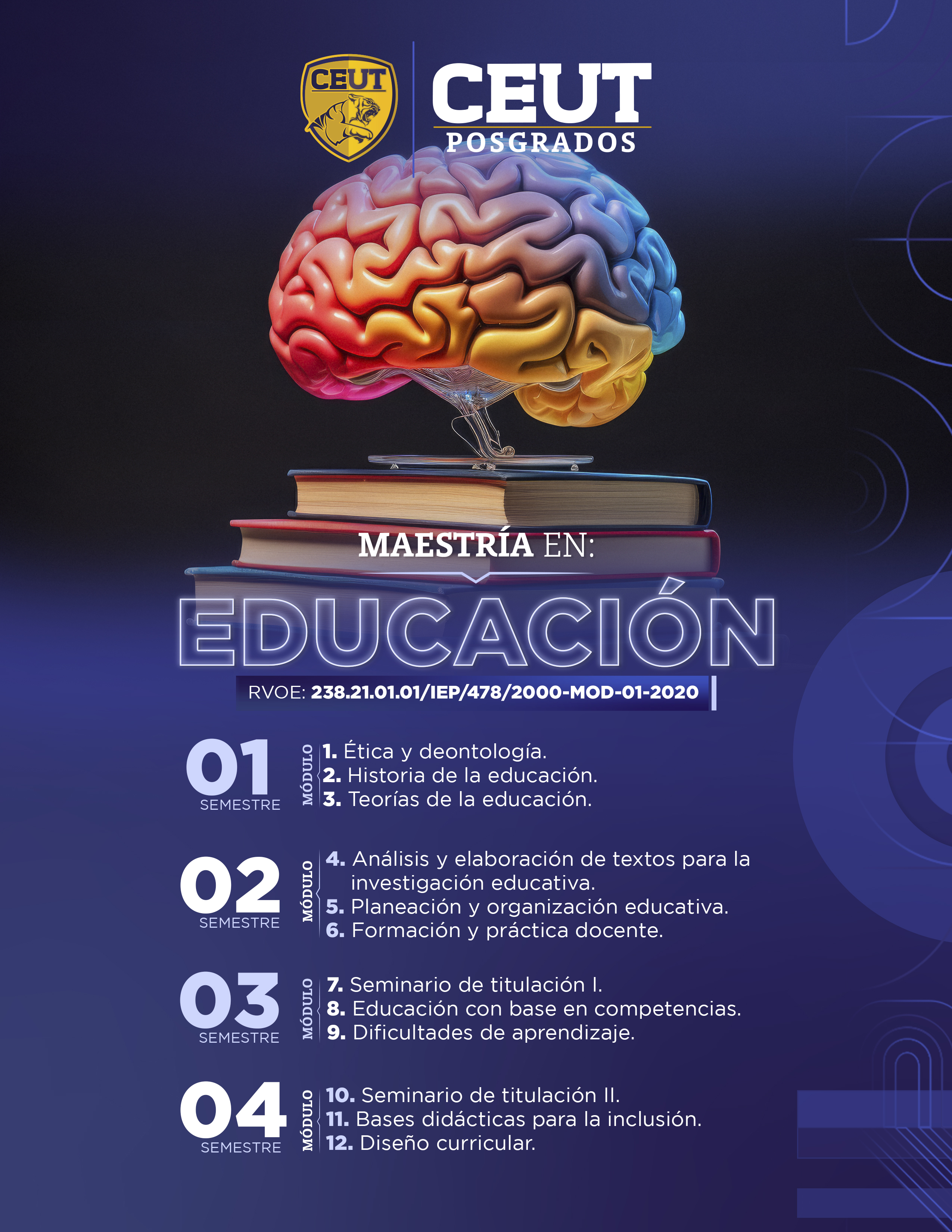 Plan de Estudios - Maestría en Educación